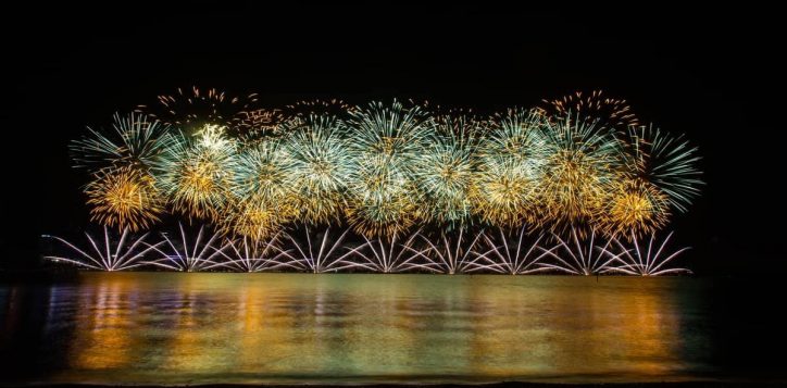 firework-new-year-3
