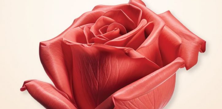 valentine-day-2024-website_resize-1