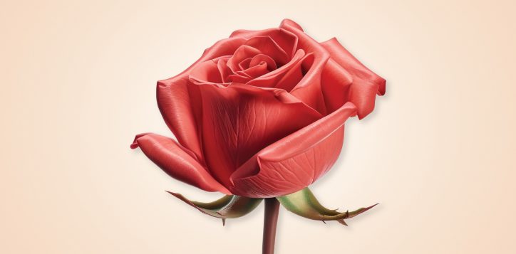 valentine-day-2024-website1