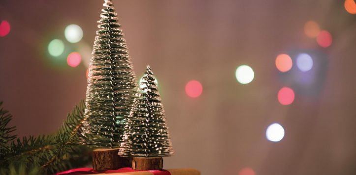festive-season-_-microsite-01