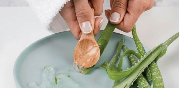 aloe-vera-massage-01