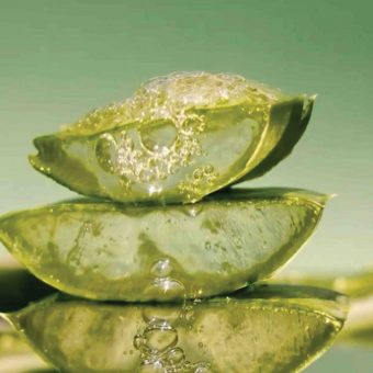 aloe-vera-massage