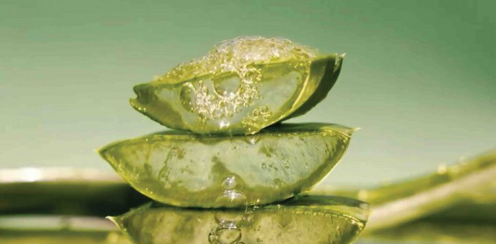 aloe-vera-massage