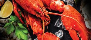 Your Lobster, Your Style