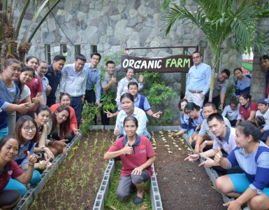 organic-farm-opening
