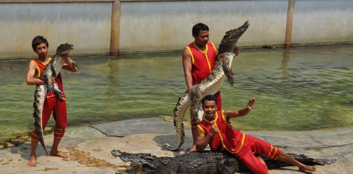26-samuth-prakan-crocodile-farm-and-zoo