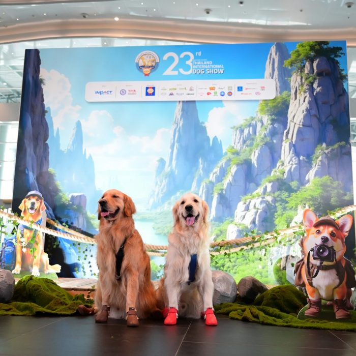 thailand-international-dog-show-2026