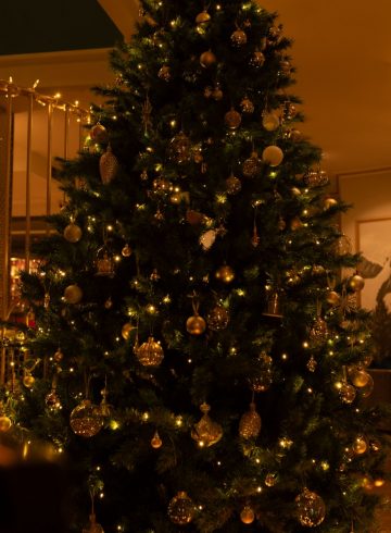 festive-lunch-december-25th-2026