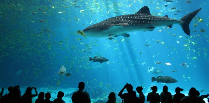 destination-sea-life-ocean-world-2