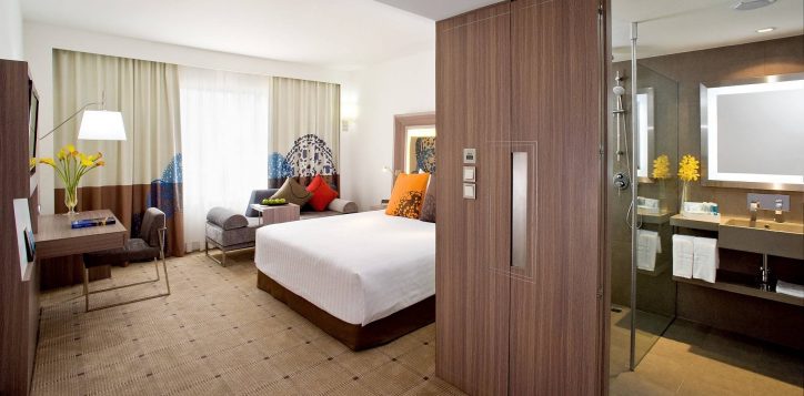 executive-corner-room-02