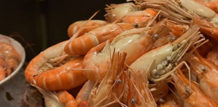 seafood-buffet