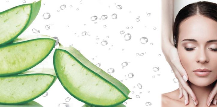 aloe