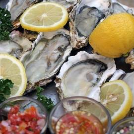 oyster-2