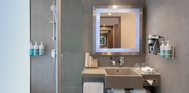 restroom-deluxe