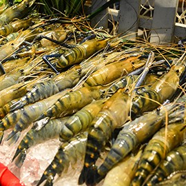 gallery-for-microsite-270x270-river-prawn-and-salmon2