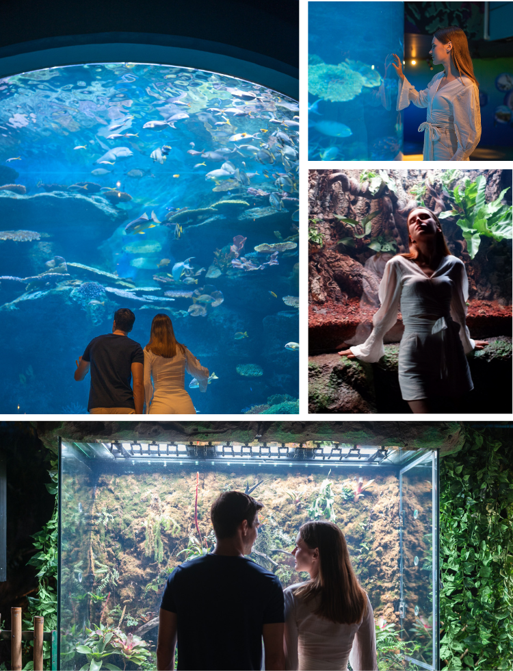 Instagrammable Sealife Aquarium Bangkok Siam Paragon