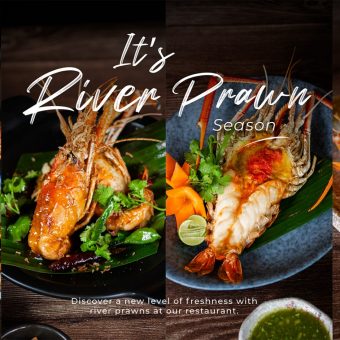 river-prawn-season