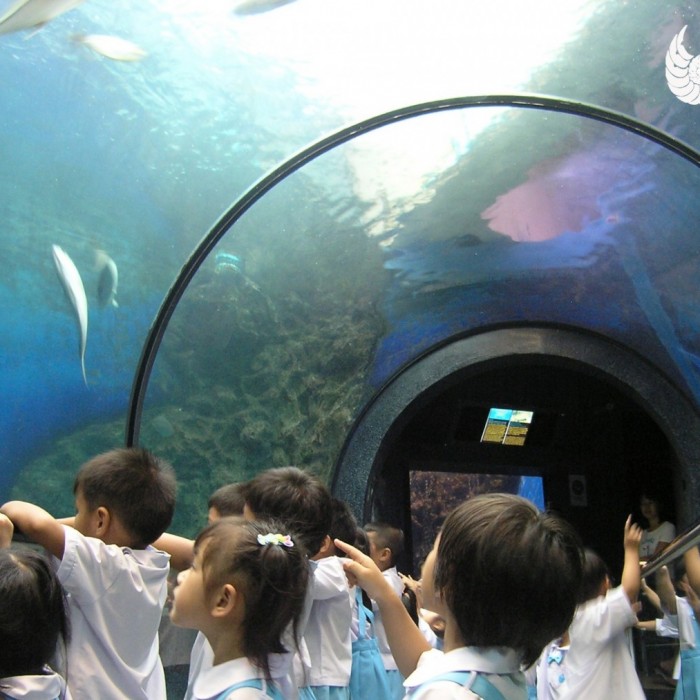 phuket-aquarium