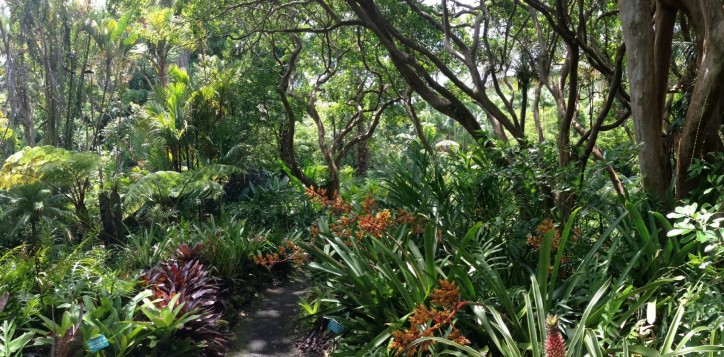 destination-phuketbotanicgarden