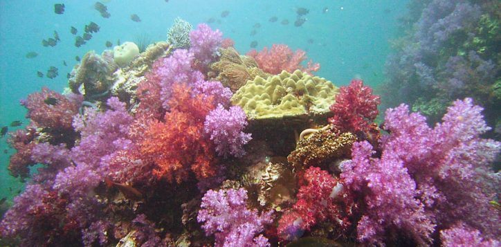 spa-and-lifestyle-snorkelling-12-2