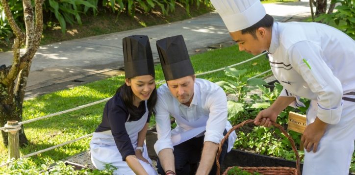 herb-garden-planet-21