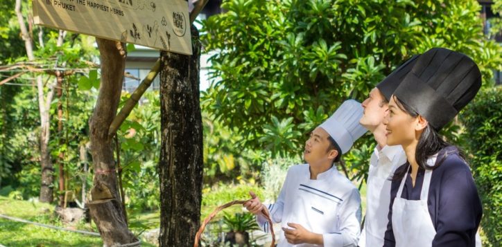 herb-garden-planet21