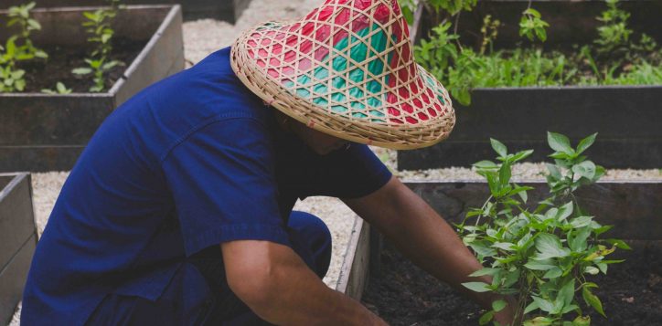 accorhotels-planet-212