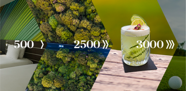 spring-loyalty-boost