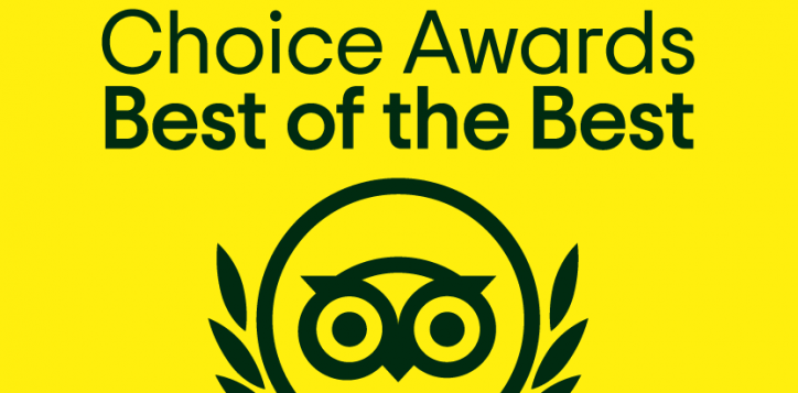 tcbr_botb_mustard_bf_logo_ll_2025_rgb