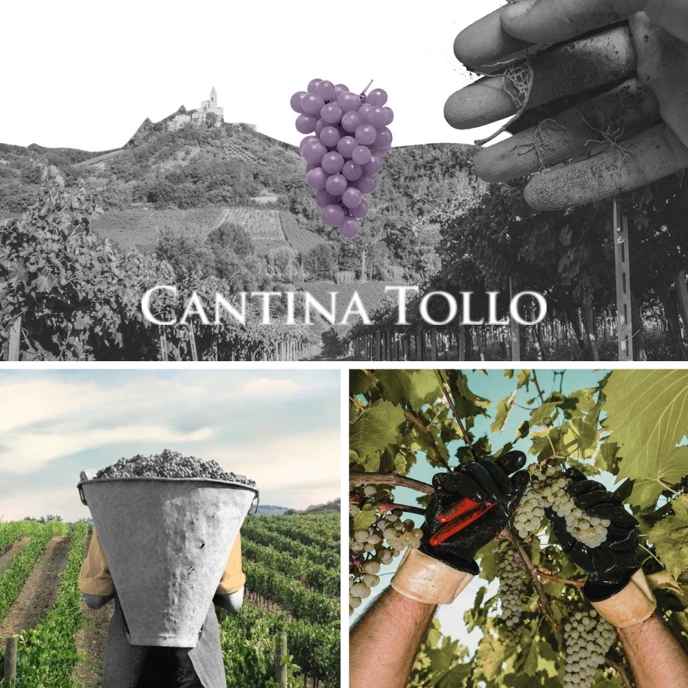 Cantina Tollo Italian wine dinner at ECHO Phuket