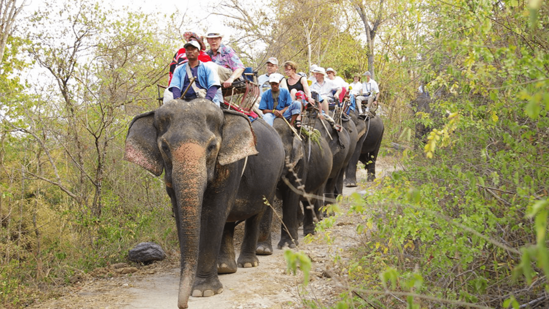 Hutsadin Elephant foundation | Novotel Hua Hin Cha Am Beach Resort