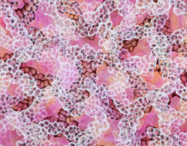 above-below-exhibitions-by-jacquelyn-stephens-and-greg-elms