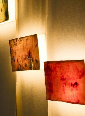 alchemy-of-light-exhibition-by-sarah-tracton