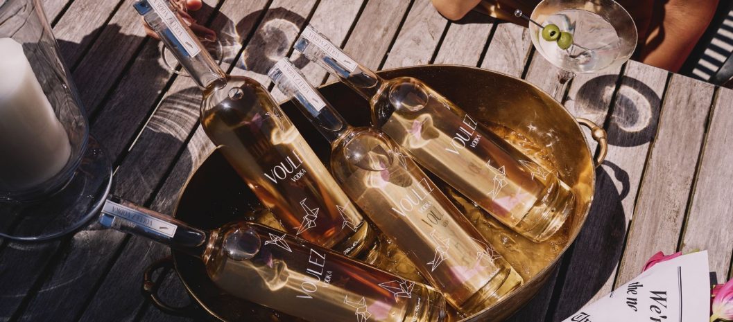 the-perfect-martini-a-guided-tasting-experience