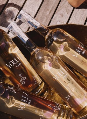 the-perfect-martini-a-guided-tasting-experience