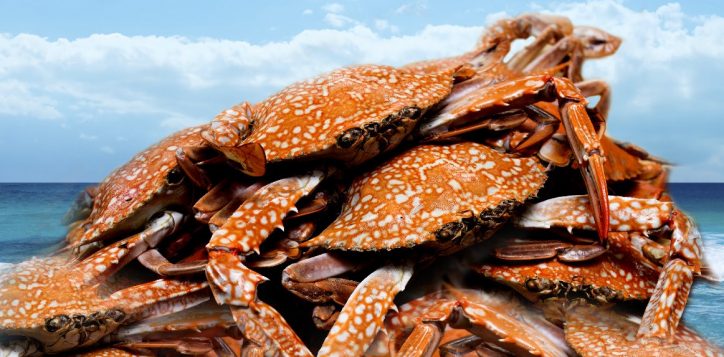 crab-buffet-promotion