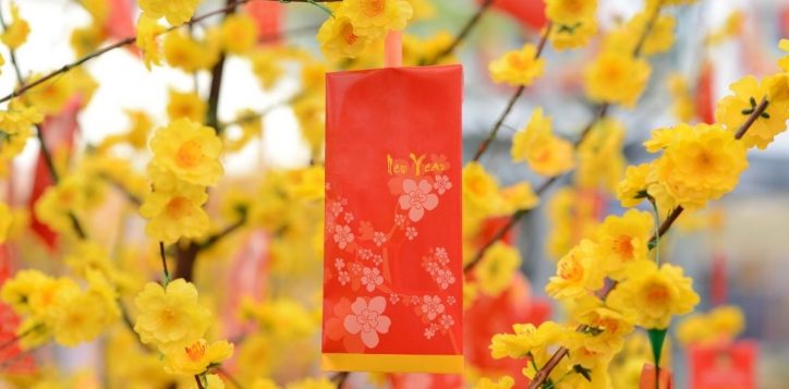 flower-street-celebrations-before-tet