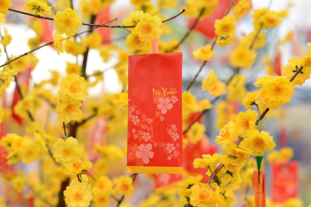 Không khí đường hoa trước Tết tại Đà Nẵng