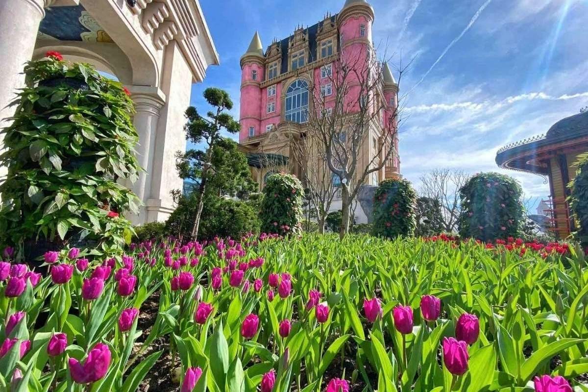 Lễ hội Hoa Tulip Tại Bà Nà Hills