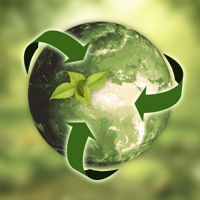 sustainability-initiatives-at-our-resort
