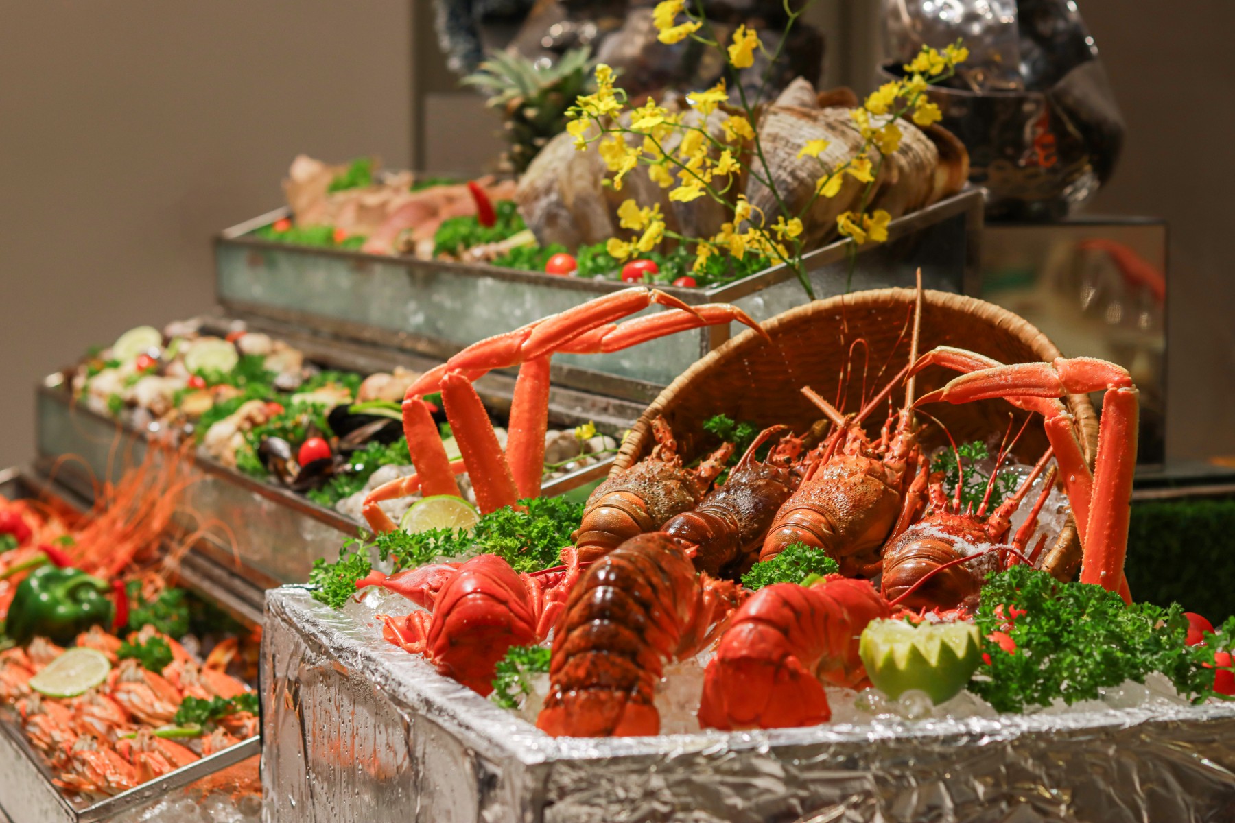 novotel saigon centre