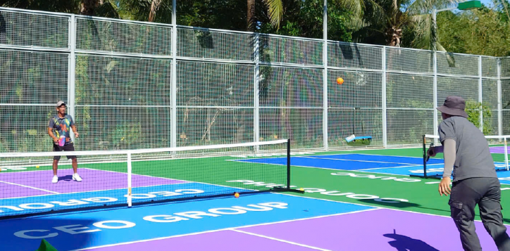pickle-ball-03