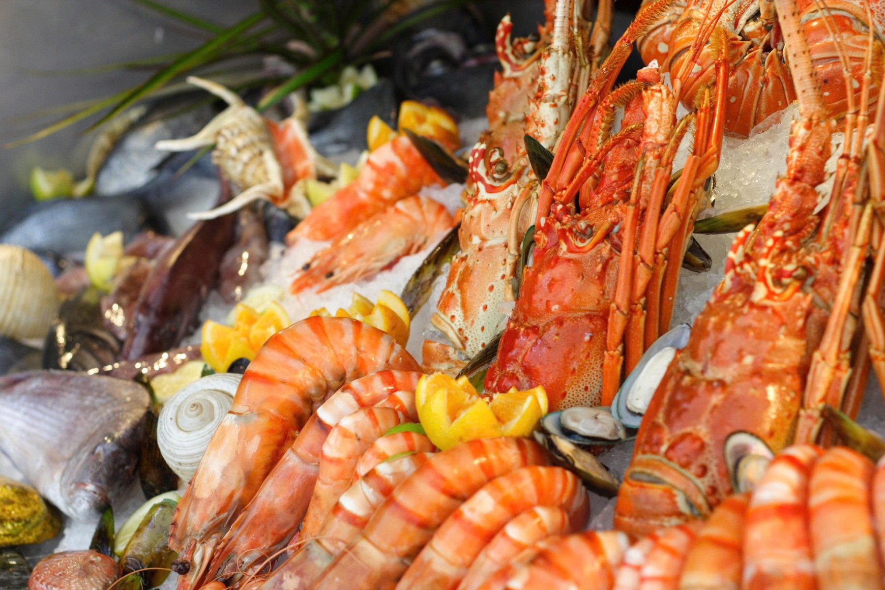 Đại tiệc buffet hải sản
