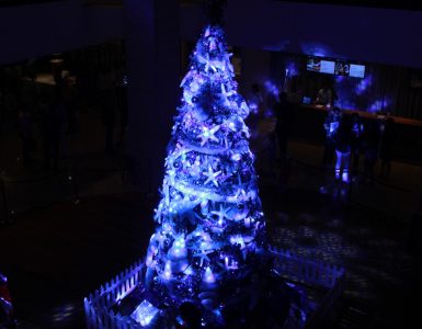 christmas-tree-lighting-ceremony