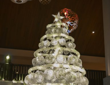 christmas-tree-lighting-ceremony-2023