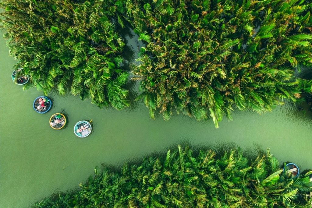 bay-mau-coconut-forest