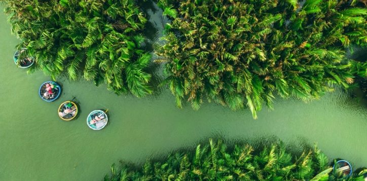 bay-mau-coconut-forest-1