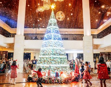 christmas-tree-lighting-festival-in-danang-2025