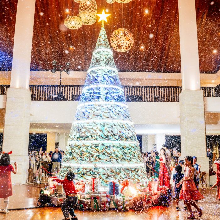 le-thap-sang-cay-thong-giang-sinh-da-nang-2025