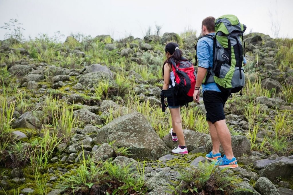 Trekking route to Ban Co Peak on Son Tra Peninsula in Da Nang